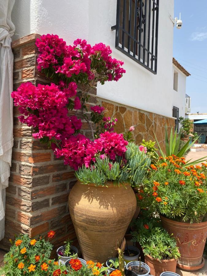 Cortijo Perejil, A Tranquil Mountain Escape & Private Pool Leilighet Oria Eksteriør bilde