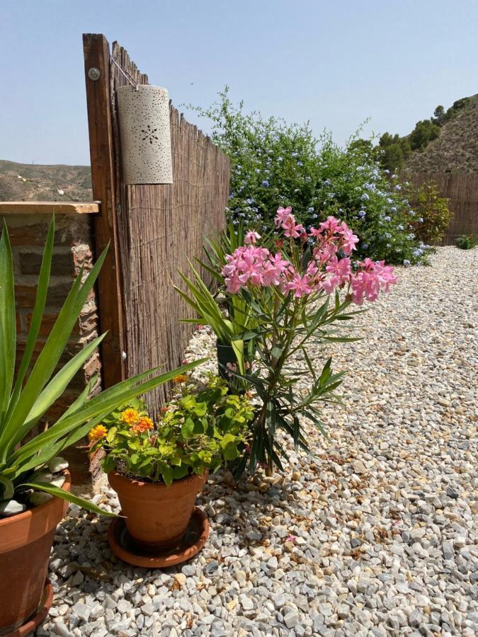 Cortijo Perejil, A Tranquil Mountain Escape & Private Pool Leilighet Oria Eksteriør bilde