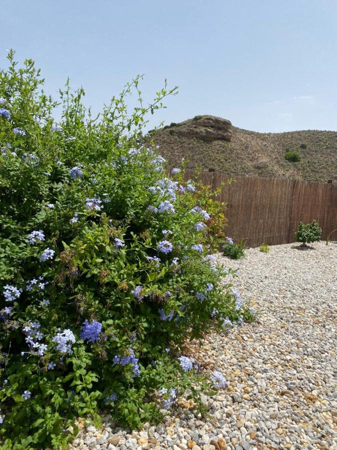 Cortijo Perejil, A Tranquil Mountain Escape & Private Pool Leilighet Oria Eksteriør bilde